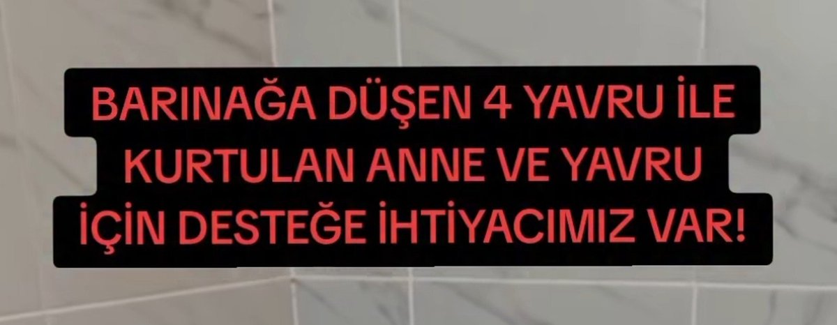 qwiolias's tweet photo. HACETTEPE ÜNİVERSİTESİNDE ZULÜM VAR! 
Kampüste kimseye zararı olmayan anne ve 5 yavrusu 07.10.2026 tarihinde yüksek dozda anestezik iğnelerle canice yuvalarından alındı Annesi günlerdir yemeden içmeden kesildi. Yavruları anneye kavuşturmak için desteğinize ihtiyacımız var#destek https://t.co/YeBqjC3Rbl