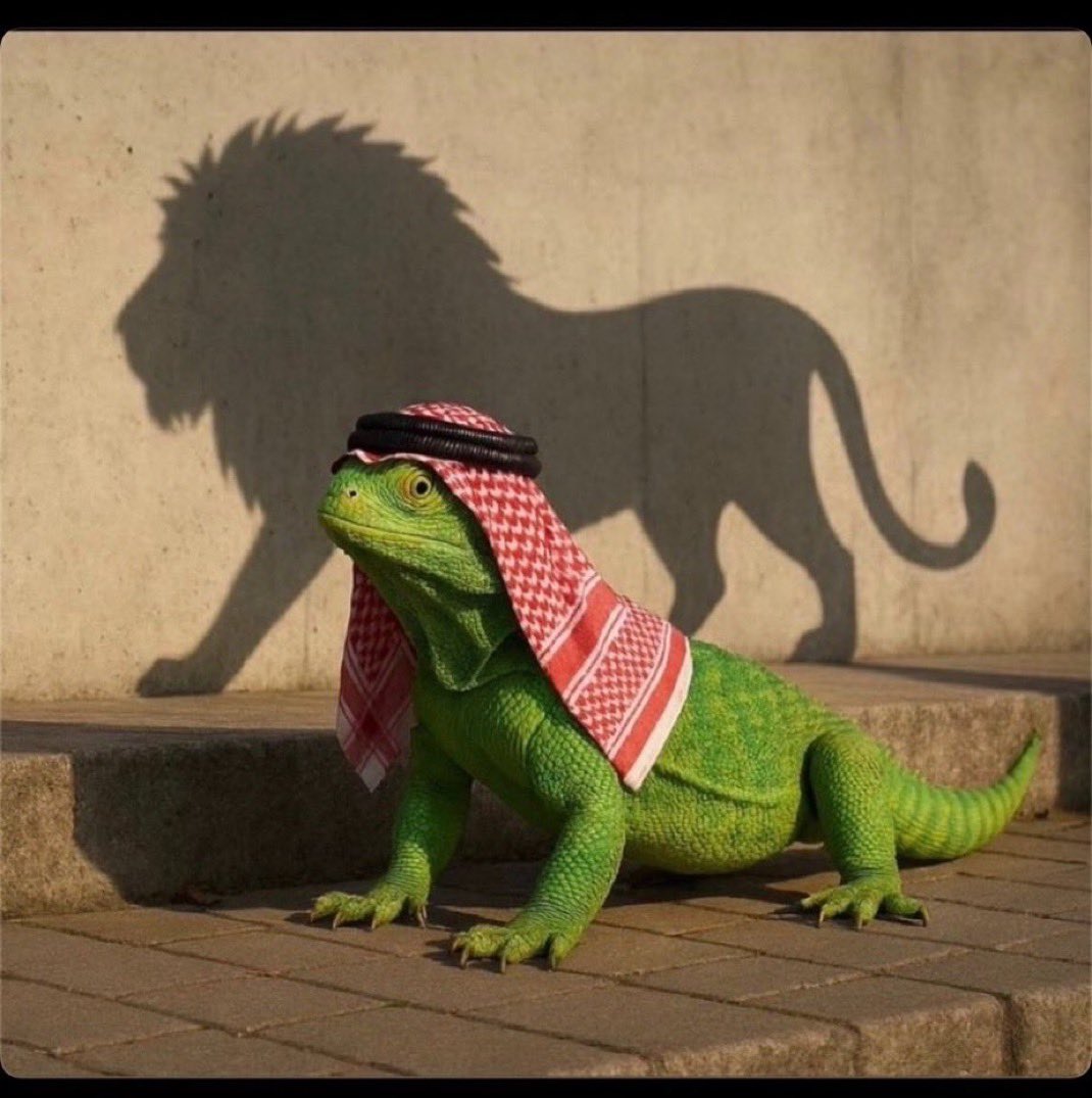 Haisham323's tweet photo. @llllllllii11 ورا شاشات https://t.co/FrTdxWI60W
