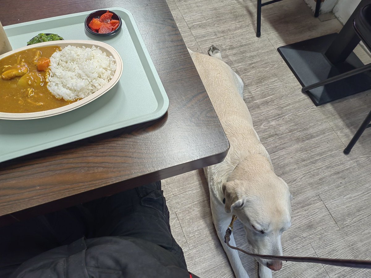 rona6689's tweet photo. [首と頭の間の部分が少し重たくて、昨日のランチのカレーがまだ胃に残ってる気がする。手の不器用さも重なって、皿のスープをテーブルに少しこぼしちゃった] https://t.co/of0ebfURvY