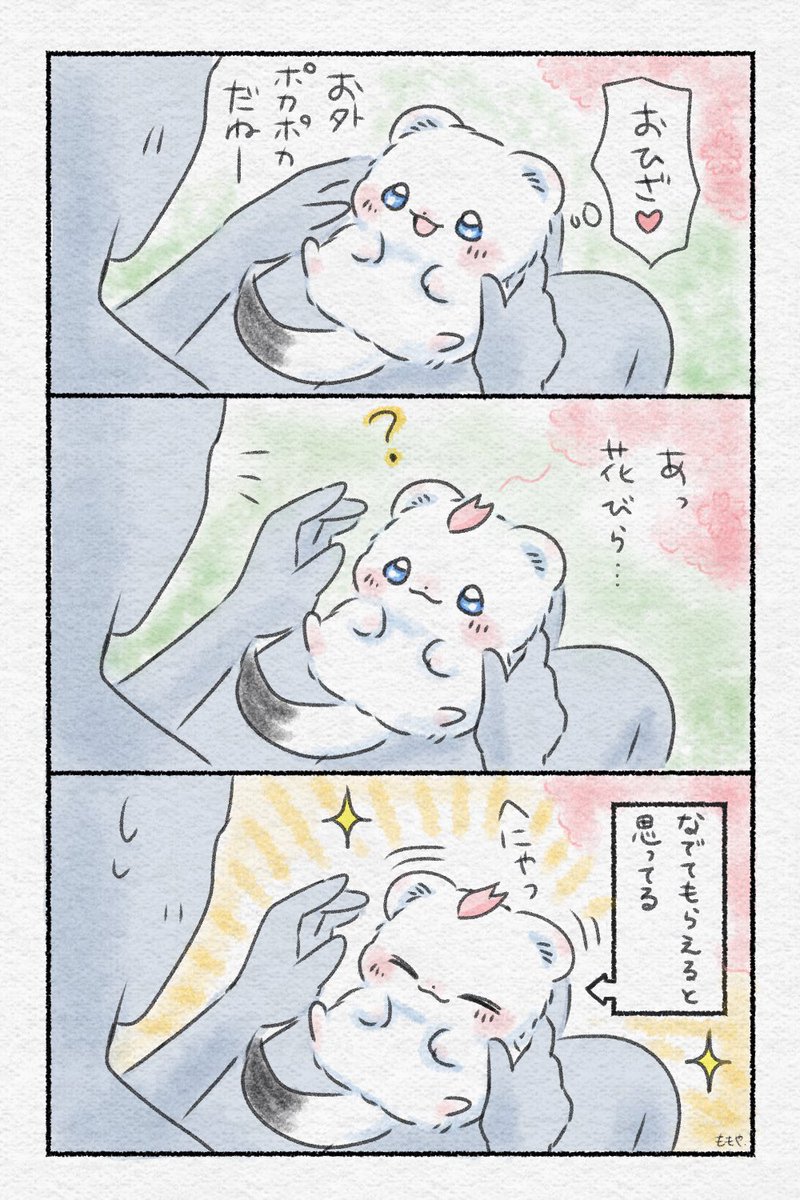 sanmiwaokojyo1's tweet photo. 赤ちゃんオコジョとニンゲンの毎日🍀
「おこさまおこじょ」（1/3）
#キャラコミ新人賞2 https://t.co/J4yi2hCR2u