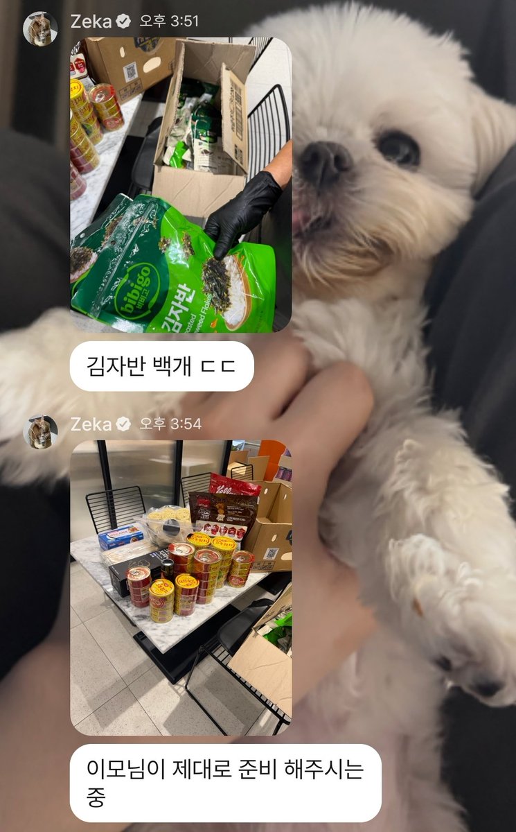 ieehnoey's tweet photo. ㅠㅠ 
한모님이 이렇게 챙겨주시는데,,,,
당연히 결승까지 하고 젤 늦게 와야겠지,,,,? https://t.co/OaoIZsBO6I