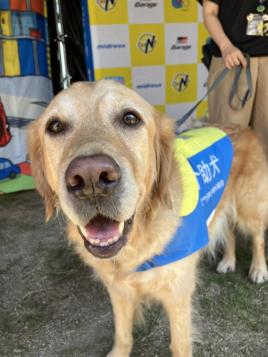 JSDA_ServiceDog's tweet photo. 10月11日(土)、『Aichi Go Too!Sports Fes.』に参加させていただきました！

当会法人会員である、ネッツトヨタ中部株式会社様のご協力により、ブース出展とステージでのPRをさせていただきました！

#介助犬 
#日本介助犬協会 
#シンシアの丘
（1/2） https://t.co/LaxXKrEyYD
