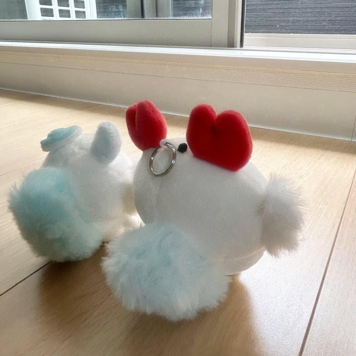 _____momonga's tweet photo. 新入り達早く一緒にお出かけしたいみたい🚗³₃
明日一緒にお出かけしようねぇ〜 https://t.co/jjzejU5LXH