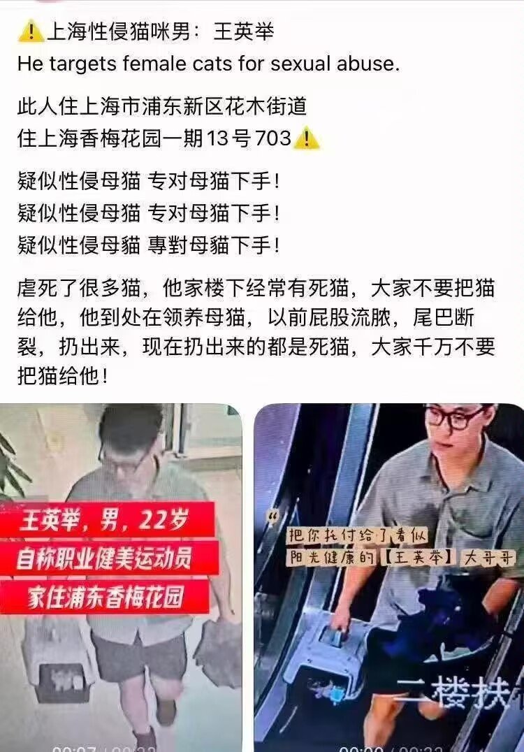AC004400's tweet photo. 这个性侵母猫的���渣被找到了，所有猫咪都没了，但是没有法律可以制裁它！ https://t.co/4fNL5YsTFa