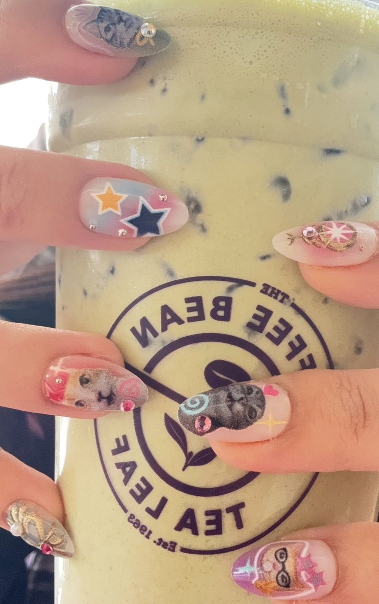L82Yl's tweet photo. meow meow 🐈💫 https://t.co/0eP8NwXu7t