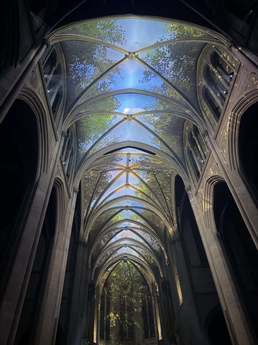 Paulina_laba's tweet photo. grace cathedral aurora show https://t.co/3MSZ9UieZO
