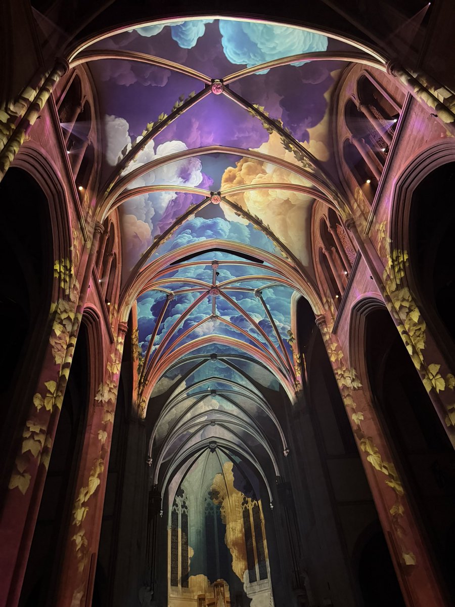 Paulina_laba's tweet photo. grace cathedral aurora show https://t.co/3MSZ9UieZO
