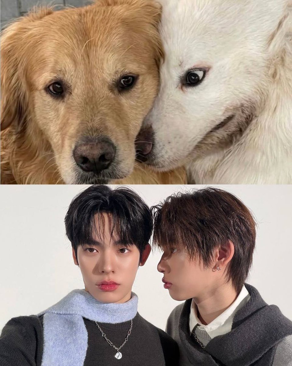 endzhu_'s tweet photo. 😭😭😭 https://t.co/1cBTBBMJdl