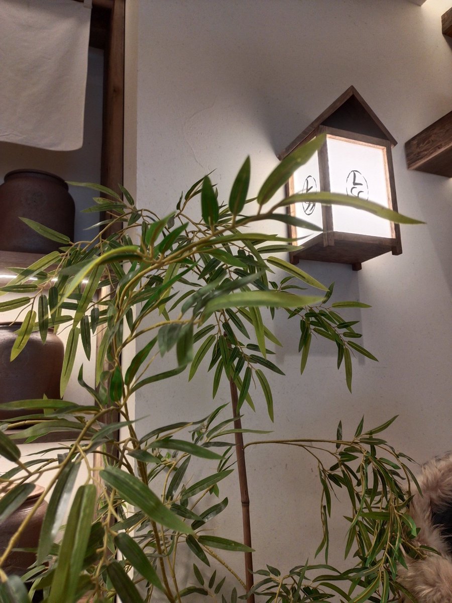 CallieBarnavak's tweet photo. [新しい一歩が、心を焕やかにしてくれる。君の存在が、毎日を慷慨できるものにし、偶然の出会いが心を嵌め込んで、特別な想いが尚続く。] https://t.co/hgeiCkEzGY