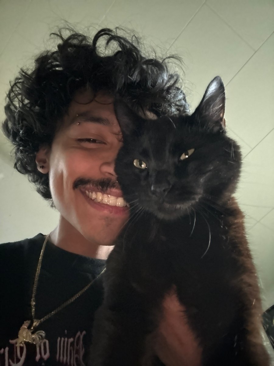 qandsumi's tweet photo. my cat loved to lay across my shoulders and comes to me when I call his name, yall just don’t know how to train cats https://t.co/JHwEHFDVHt