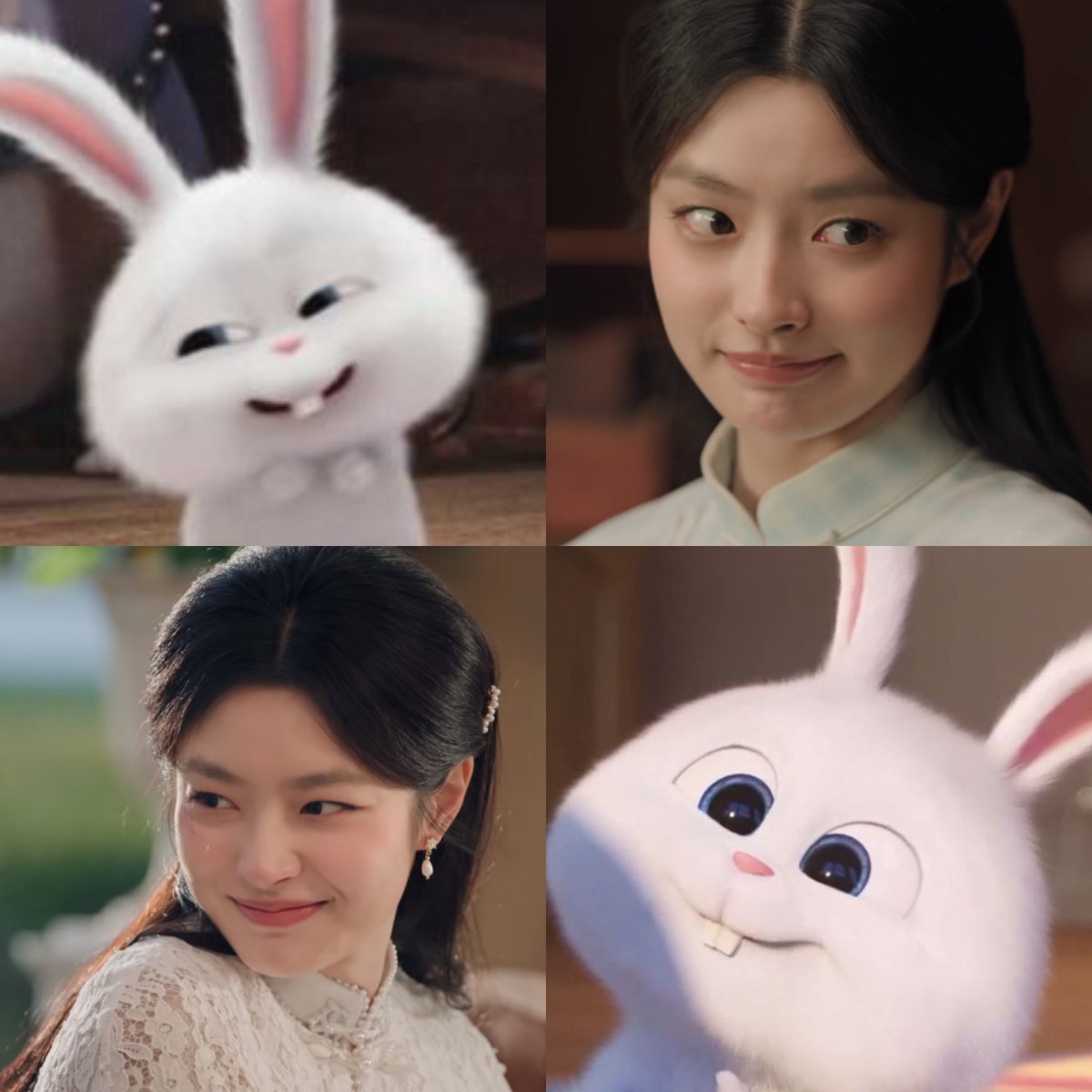 aimiaoyi's tweet photo. EVERYONE LOOK AT MY CUTIE PATOTIE RABBIT, CICI LOOKS SO FLUFFY https://t.co/lDKWX9PDUM
