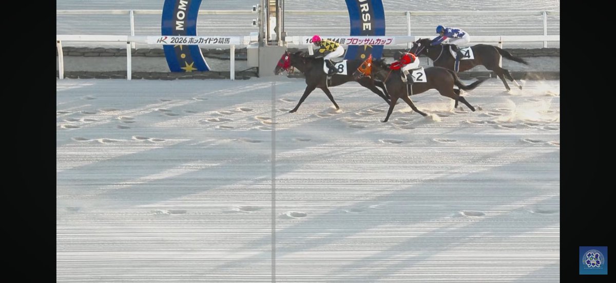 Farm_Versailles's tweet photo. サルデグラス🐴
道営で優勝しました🏆
念願の北海道で一勝👏👏
泣ける😭😭ありがと🐴

わたし、、、
馬輸送してたので
現地に応援にいけなかった…
念願の口取り写真は社長だけになりました🥲 https://t.co/aOUGlS8Dss