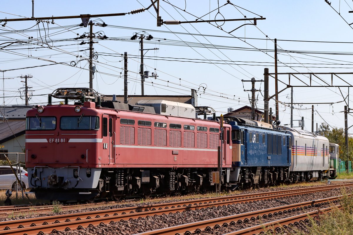 OWySMwJchs9ri2V's tweet photo. EF81 81 ＋ EF64 1030 ＋ 
カヤ27-501
本日、秋田総合車両ベースにて貴重な車両がスイッチャー牽引で構内入換してました。 https://t.co/rpEKRBEbLI