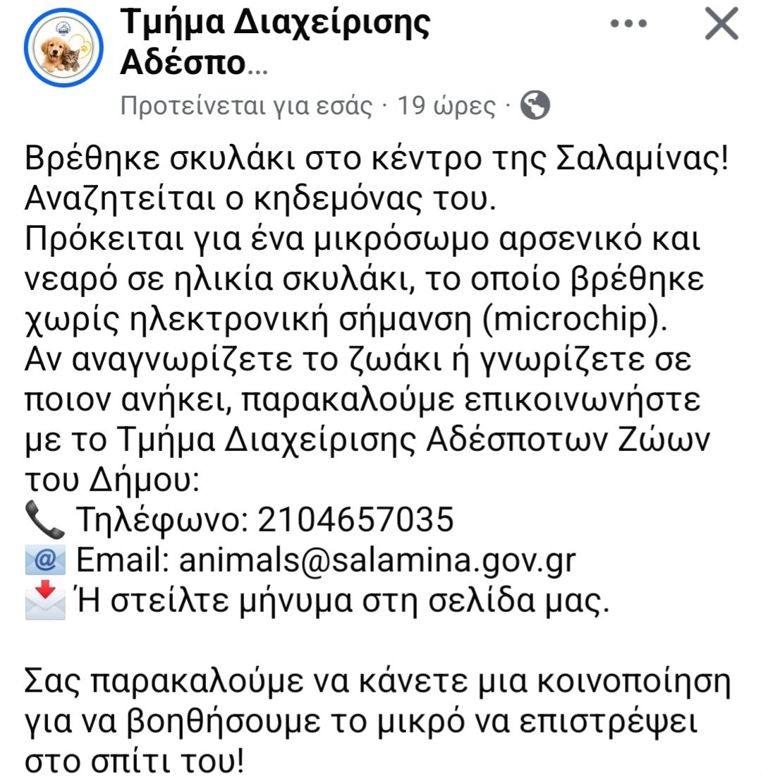 KatKatPt's tweet photo. 🆘️🆘️🆘️
Βρέθηκε αρσενικό μικρόσωμο σκυλάκι στο κέντρο της Σαλαμίνας
Νεαρό σε ηλικία χωρίς τσιπ 
Αν αναγνωρίζετε το σκυλάκι ή γνωρίζετε σε ποιον ανήκει επικοινωνήστε με το τηλ
Rt 🙏 🙏 🙏 https://t.co/BcLekBjNYW