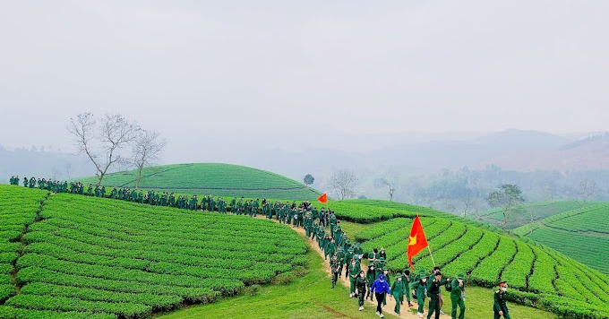 PintoJoaquin's tweet photo. Long Coc Tea Hills in Phu Tho offer a serene escape with emerald-green domes, morning mist, golden sunlight, and the peaceful rhythm of local tea farmers. A dreamlike glimpse of Vietnam’s countryside. https://t.co/Q74jgqM2iV