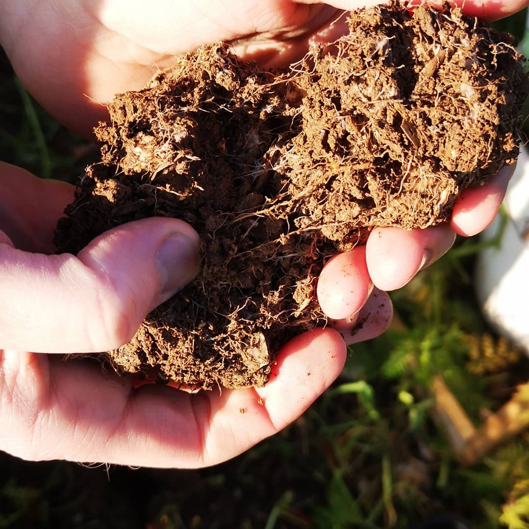 LEAF_Farming's tweet photo. When soils at Lockerley Estate in Hampshire proved prone to both waterlogging &amp; rapid drying, the team saw it as an opportunity to rethink their approach &amp; uncover practical ways to build more resilient soils.

To learn more, comment "SOIL" below &amp; we'll send you the link. https://t.co/5H0iMlvtgA