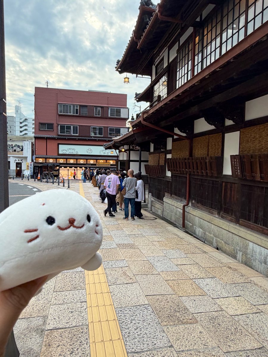 shirochans2024's tweet photo. 道後温泉街きたきゅ
雰囲気いいきゅ♨️
#shirotan #旅するしろたん #道後温泉 https://t.co/2hmpHuGnJR