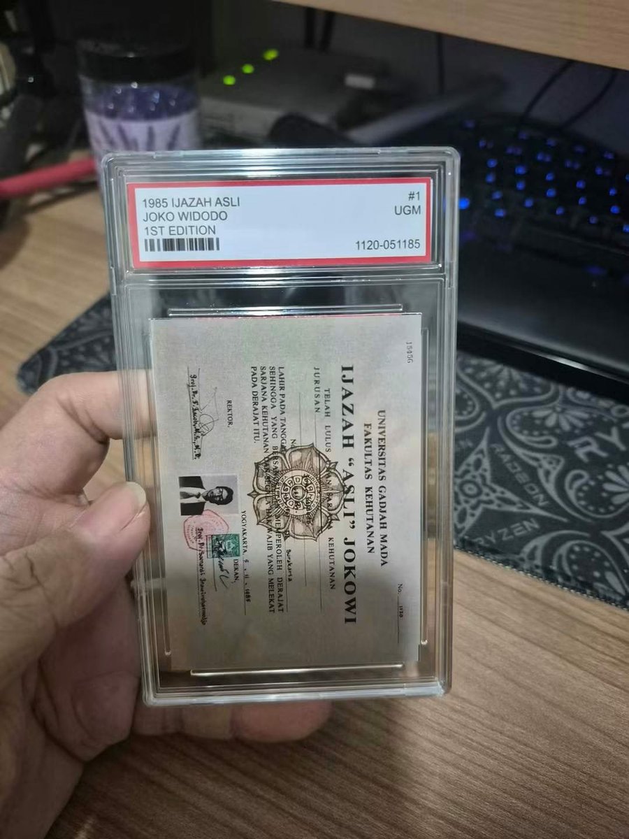 foolinsights's tweet photo. Info TCG Pokemon area BSD https://t.co/stgS6T667p