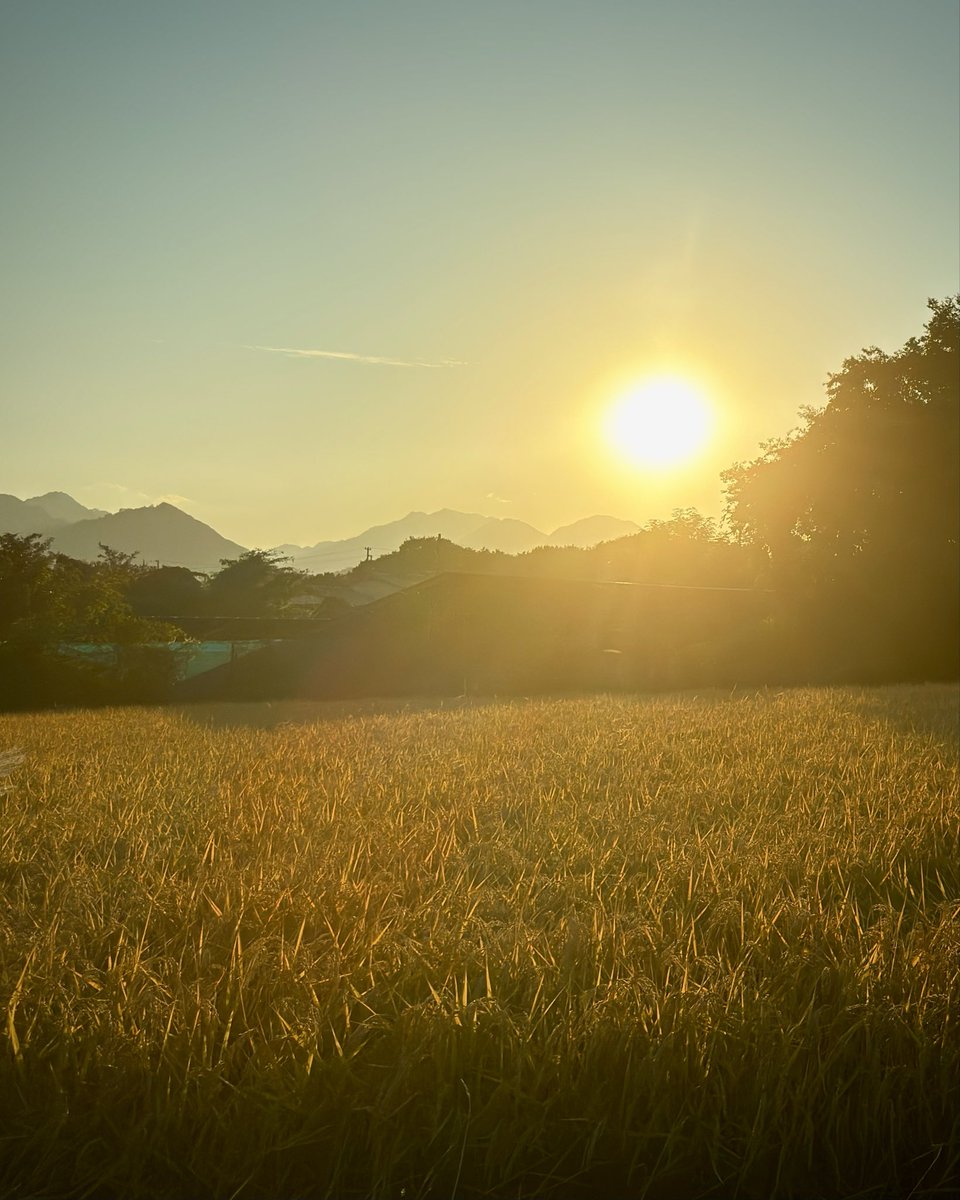 fmc8855's tweet photo. Sunset https://t.co/skrcKYJNZJ