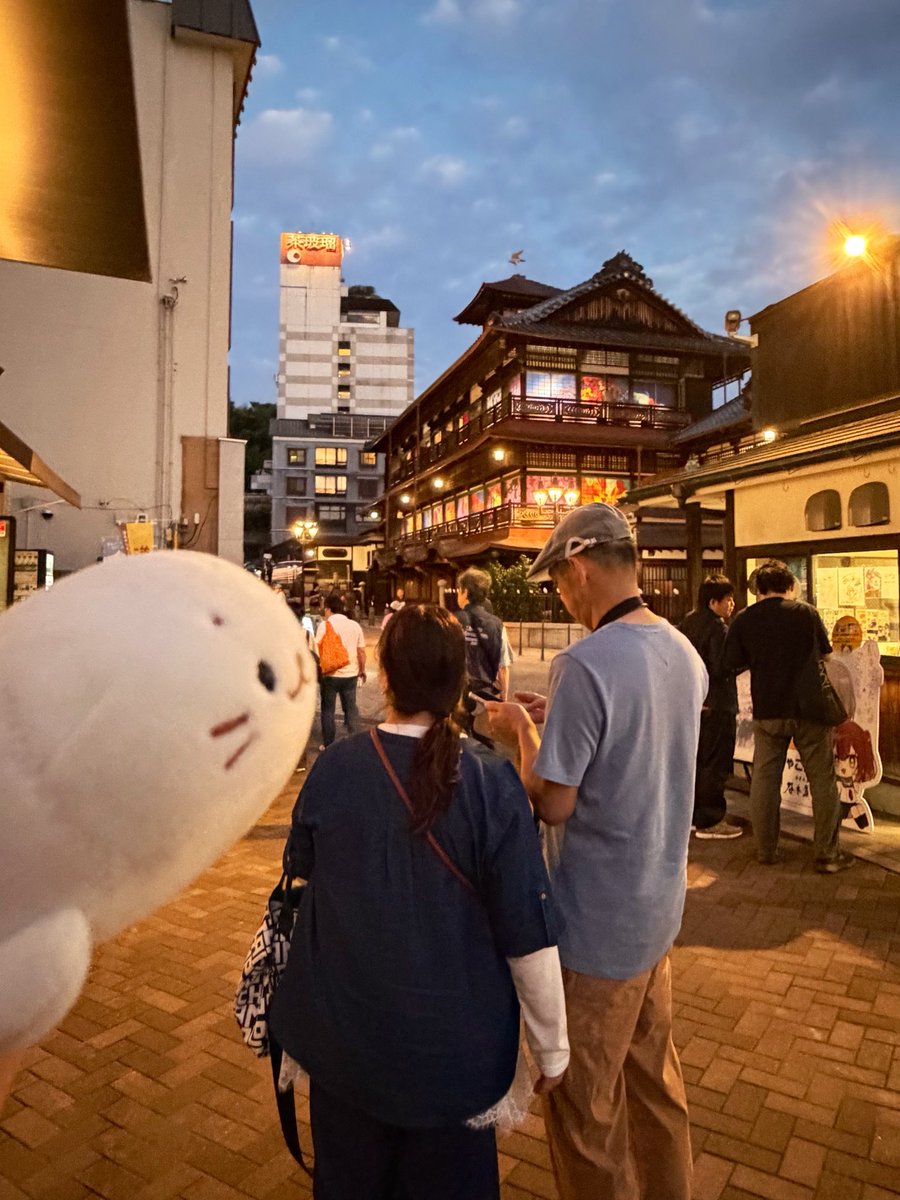 shirochans2024's tweet photo. べっかんも床がお花🌸きゅ！
#道後温泉別館　#shirotan #旅するしろたん https://t.co/f3dhB5FAzP