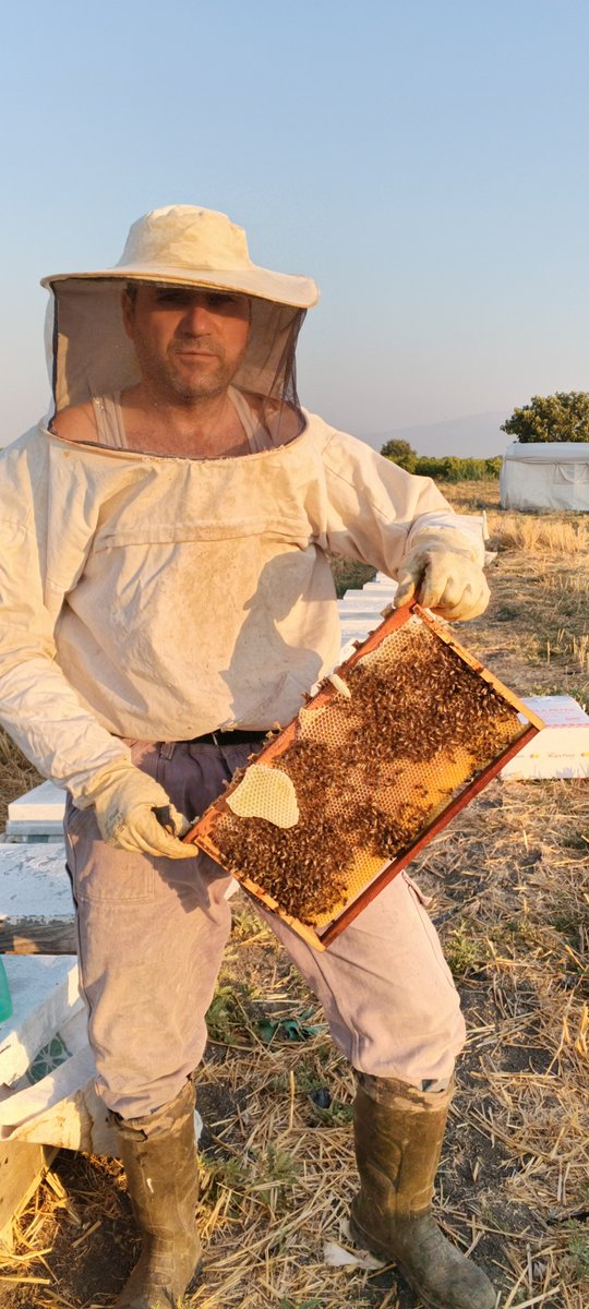KonukAr's tweet photo. #altiüstüistanbul
#salı
Üreticiden tüketiciye hakiki gerçek ham süzme bal çeşitleri karakovan petek bal polen propolis Siparişleriniz için 05358174281 nolu telefondan ulaşabilirsiniz her şehre kargo ile gönderim vardır https://t.co/RchmNCClEU