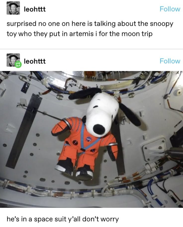 SnoopyDaiily's tweet photo. HE FUCKIN MADE IT, LADS!!!!! https://t.co/I1BKygSI7c