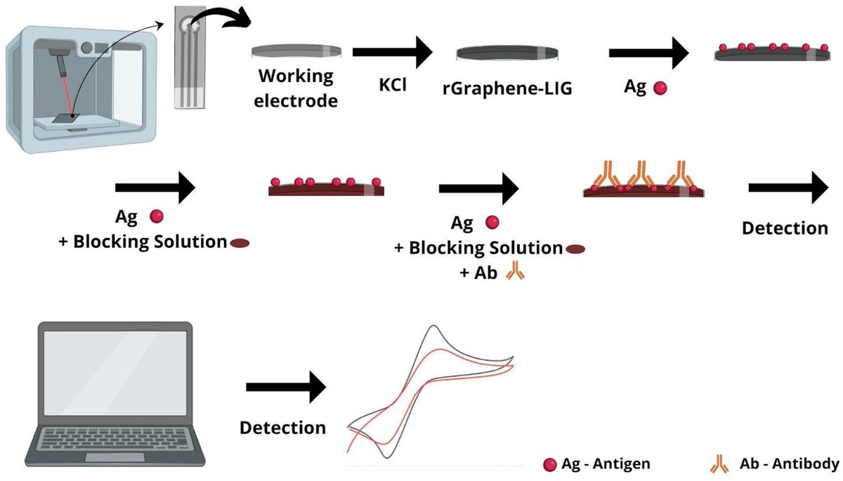 Biosensors_MDPI's tweet photo. 📣Call for Reading:
#Article
#Electrochemical #Immunosensors on Laser-Induced #Graphene #Platforms for #Monitoring of Anti-RBD #Antibodies After #SARS-CoV-2 #Infection
By Alves, R. P. et al.
https://t.co/qBag0QVxeu
#Biosensor #OpenAccess #COVID19 #POC #Immunoglobulins https://t.co/kaNhlUYq9B
