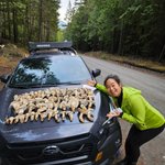 Photo by Subaru Canada (@SubaruCanada)