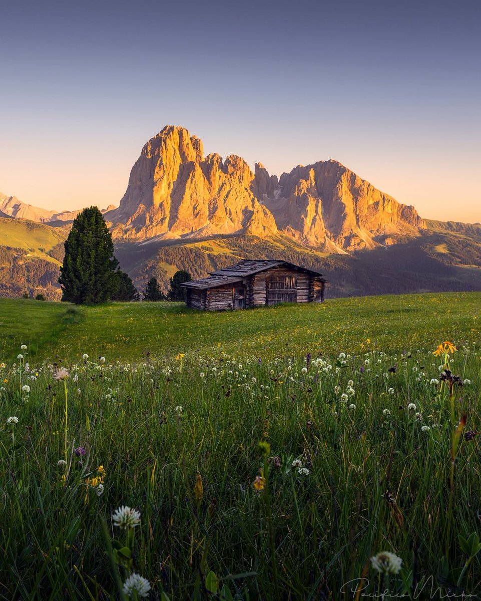 llrohanll's tweet photo. Dolomites, Italy: midsummer meadows, wildflowers, and golden peaks. Pure alpine magic. Take in the view, feel the moment, and start dreaming of your next escape. https://t.co/EkmFhMZJAv