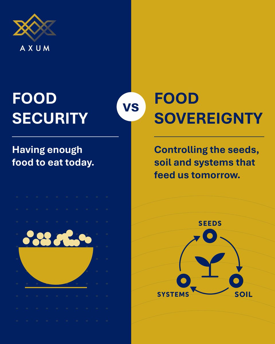 AxumEarth's tweet photo. Africa holds over 60% of the world’s uncultivated arable land. Turning this potential into food sovereignty means investing in local innovation, smallholders and homegrown value chains.

#FoodSovereignty #AgTech https://t.co/gIdI3Sx8HP