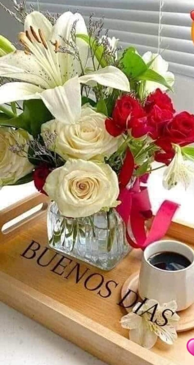 AlexiaMART52251's tweet photo. @AlbertDevil97 @Summer1872766 @LorenaR97671 Muchas gracias por ser empático , Feliz Martes https://t.co/zK0GHyWdku