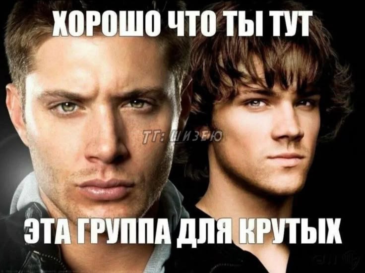 l1l_js's tweet photo. @yanayan509 Обожаю мемы с волками https://t.co/3q8dLvxiM8