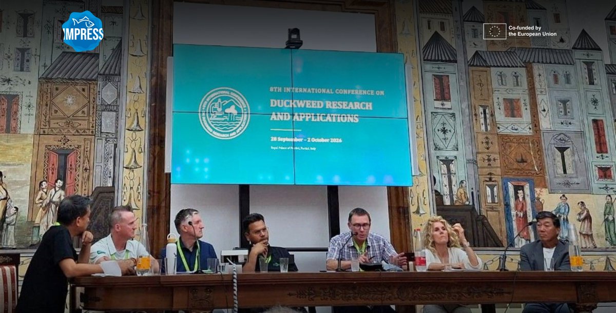 IMPRESS_EU's tweet photo. 🌱 At #ICDRA2026 in Italy, IMPRESS highlighted #duckweed’s potential for sustainable agri-food systems, from wastewater treatment to resource recovery.

🔗 Read the full press release: https://t.co/zjsQbcvHUa

#Impress_EU #ResearchImpactEU #HorizonEU #BlueBioeconomy https://t.co/4qAfnuDML1
