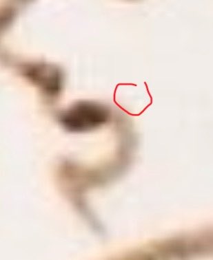 strawpageanon's tweet photo. Mini mole above lip ❤️ https://t.co/GWer6Ji1d9