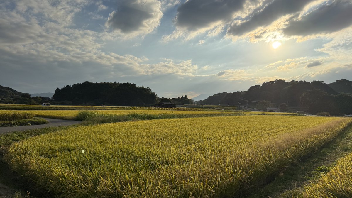 dan07141's tweet photo. 明日香村は輝いてた！ https://t.co/1lXrCEu9vz