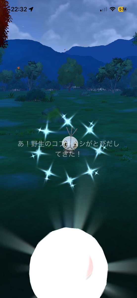 _lclrn's tweet photo. 初めてコフキムシ光ったー！！！！
はなぞのもよう嬉しい！！
ちなみにワイルドエリアの日に捕獲しようとするとサファボ捕獲できる…？？ https://t.co/6kHvkwdco6