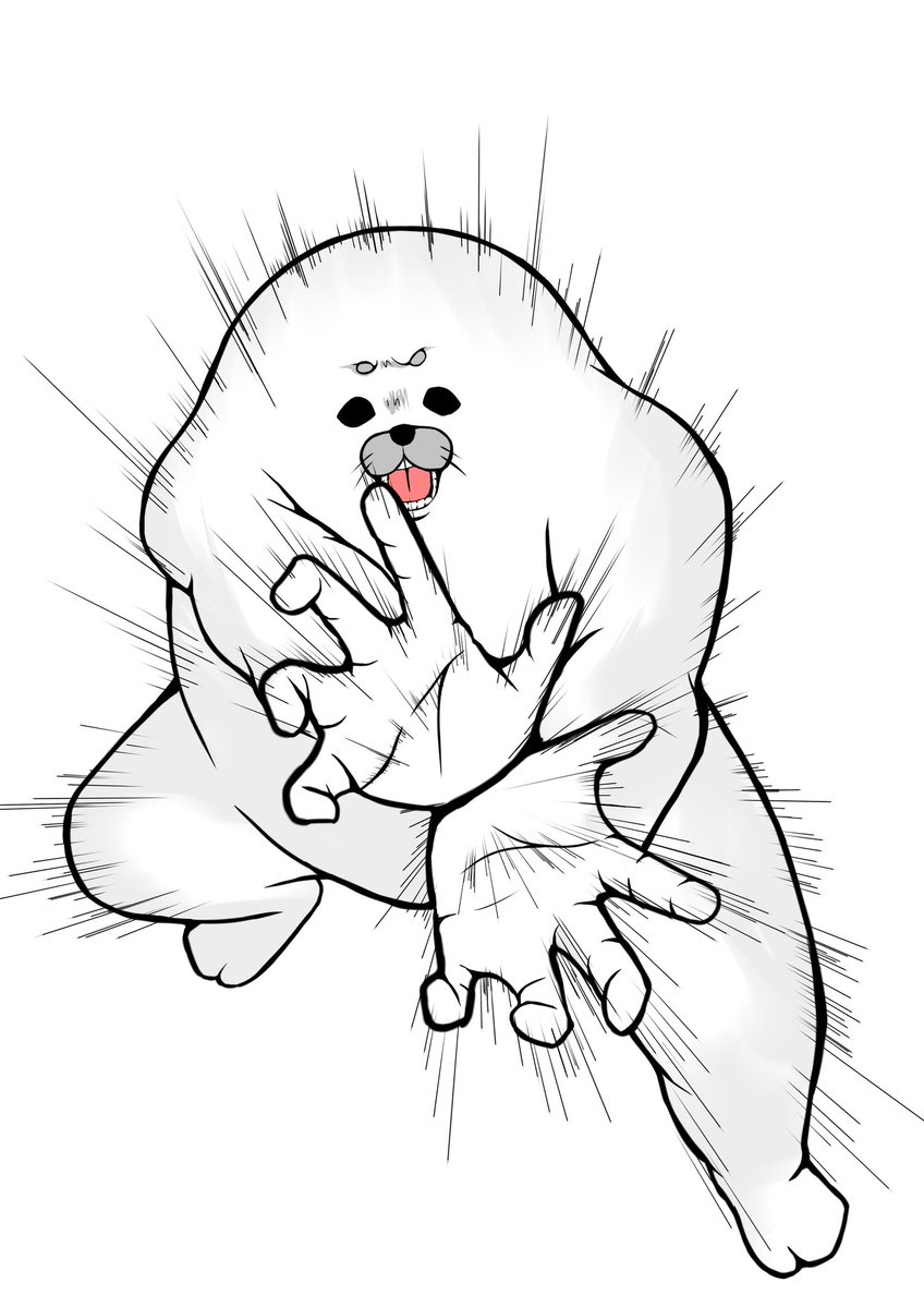 noseceleb1010's tweet photo. 儚いだろうが！！！！！！ https://t.co/e59OI6oB71