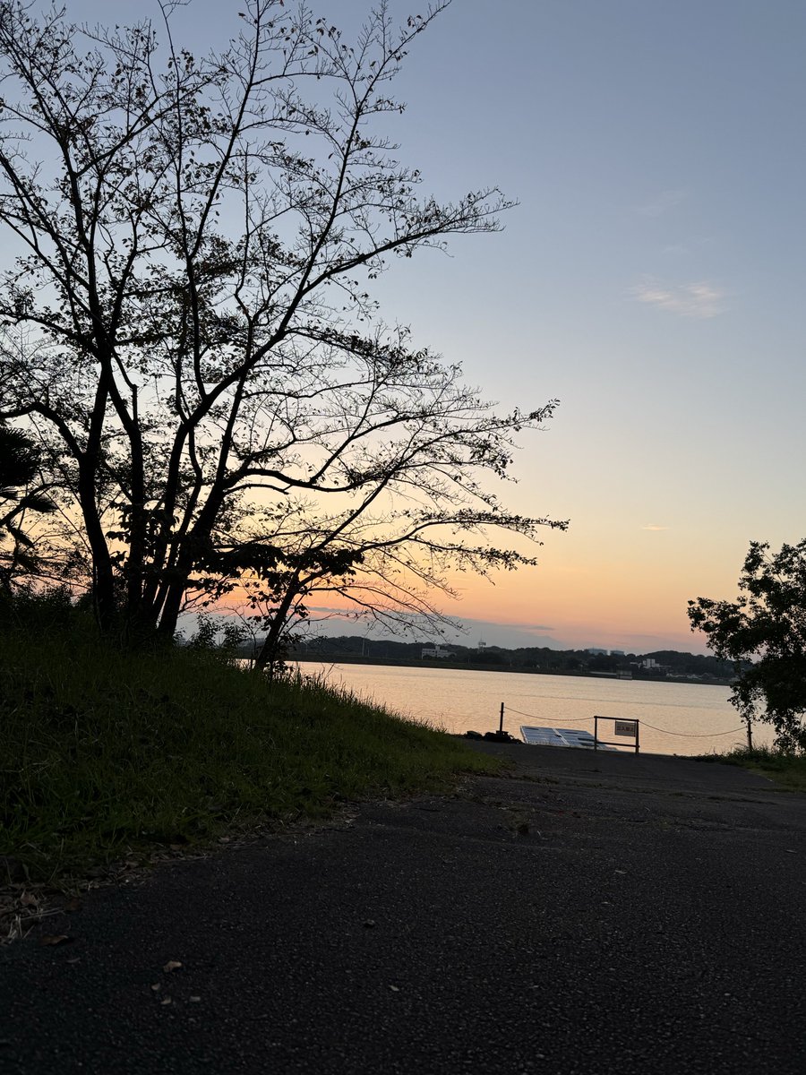 Run4Ch0p's tweet photo. ようやく世界に色が戻ってきたゾ https://t.co/xJwa8BXnde