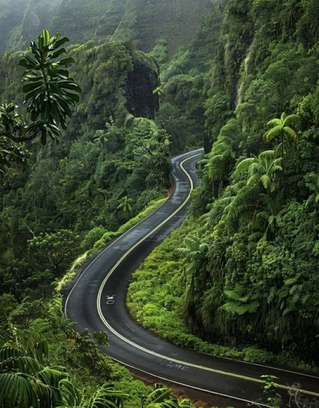 viewsoff's tweet photo. Hawaii https://t.co/QwNAAHW5MI