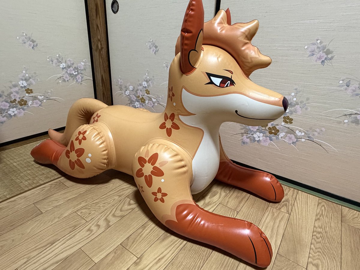 c9881RqbcmhbWXp's tweet photo. オレンジフォックスが新たに家族になりました https://t.co/lscyT6QZCE