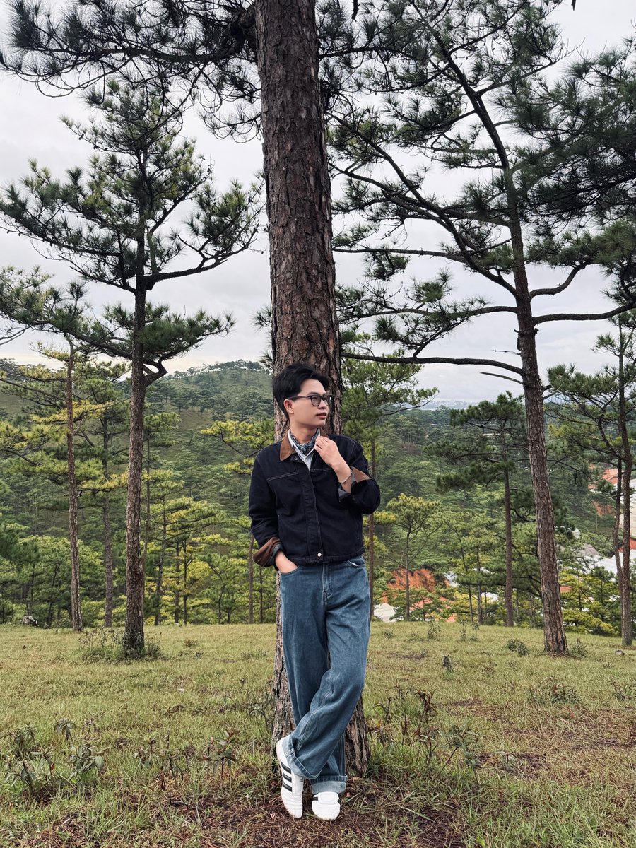 kamiskam's tweet photo. Dạo đồi Măng Lin lúc tinh mơ, bình minh ửng vàng trên những ngọn thông xanh. Chợt nhận ra Đà Lạt vẫn là Đà Lạt, đủ dịu dàng để khiến người ta yêu mà chẳng cần một lý do. https://t.co/9HIgM32rjS