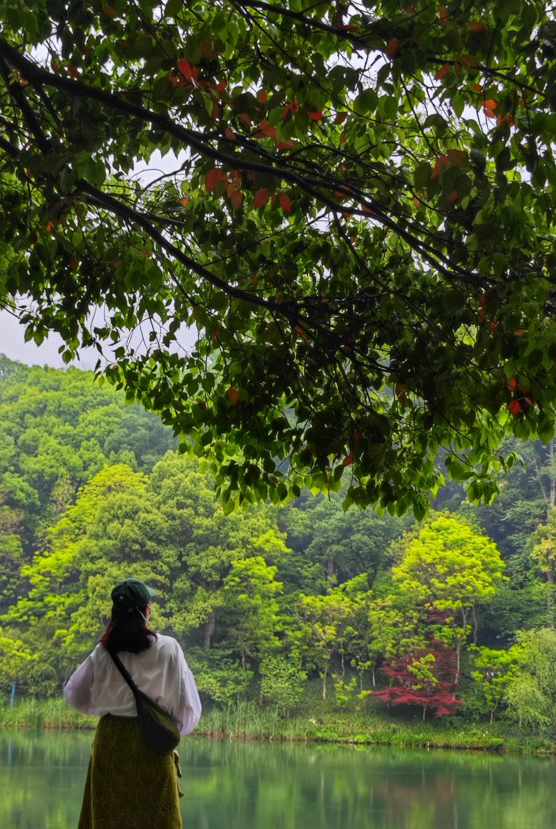 rmasm_00's tweet photo. 「鼻杭峙の季節、新たな一歩を踏み出そう。」， https://t.co/hm0T1OtSRa