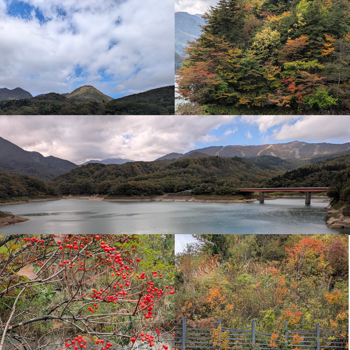 0a1y2a8's tweet photo. 2026.10.13

紅葉を見に行こうヨ〜🍁

夏油高原🍁
入畑ダム⛰️🌊
ワンちゃん🐾
ブッチャー軒でランチ🍚
買い物🛒

１年で一番好きな季節　秋がきた🍁

母　今月初めに目の手術してからスゴく見えるようになったとのこと◎

好きです　紅葉🍁 https://t.co/lKWaKkVoex