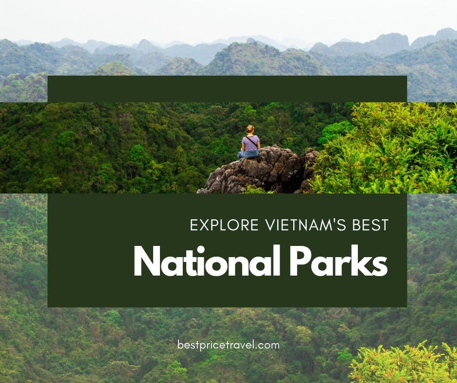 Sammyhugszombie's tweet photo. Explore Vietnam’s national parks, from island forests and mountain trails to ancient rainforests, caves, and wildlife. Discover Cat Ba, Bach Ma, Cuc Phuong, Phong Nha - Ke Bang, and Cat Tien. Which would you explore first? https://t.co/RQhod5tykq