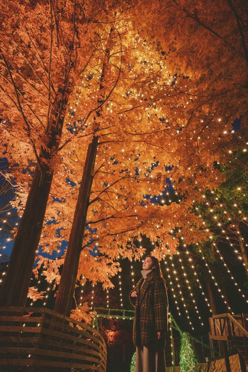 ______hnjs's tweet photo. 神戸クリスマスマーケット2026 
古城のクリスマス

期間🤍11月7日～12月28日
会場📍神戸布引ハーブ園／ロープウェイ https://t.co/ISeuHO86A7