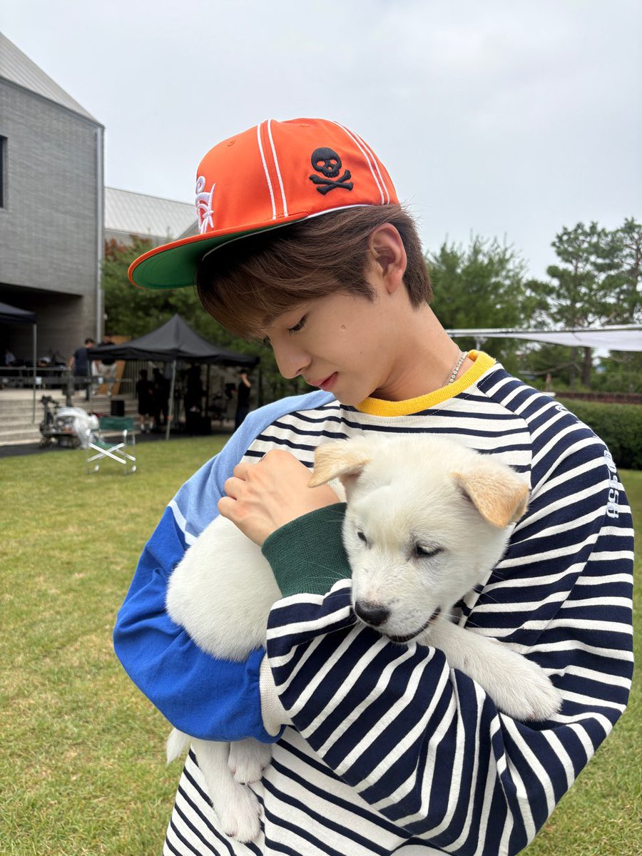 ispyushii's tweet photo. 내 강아디🐶🐾💓 https://t.co/URC4IAVLZI