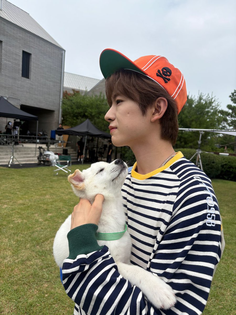 ispyushii's tweet photo. 내 강아디🐶🐾💓 https://t.co/URC4IAVLZI