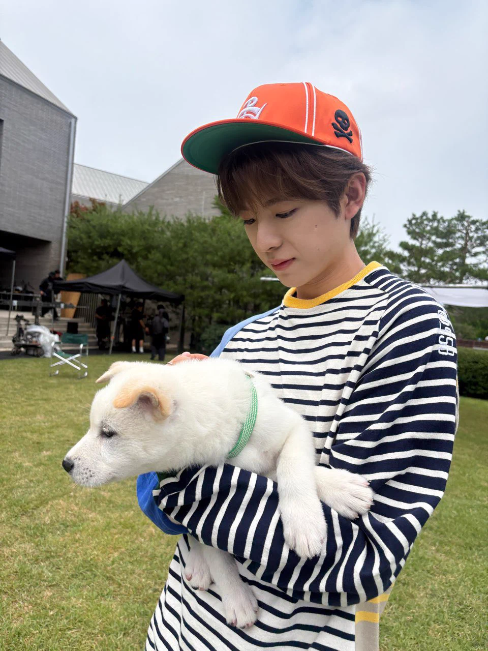 Kitty on X / X
