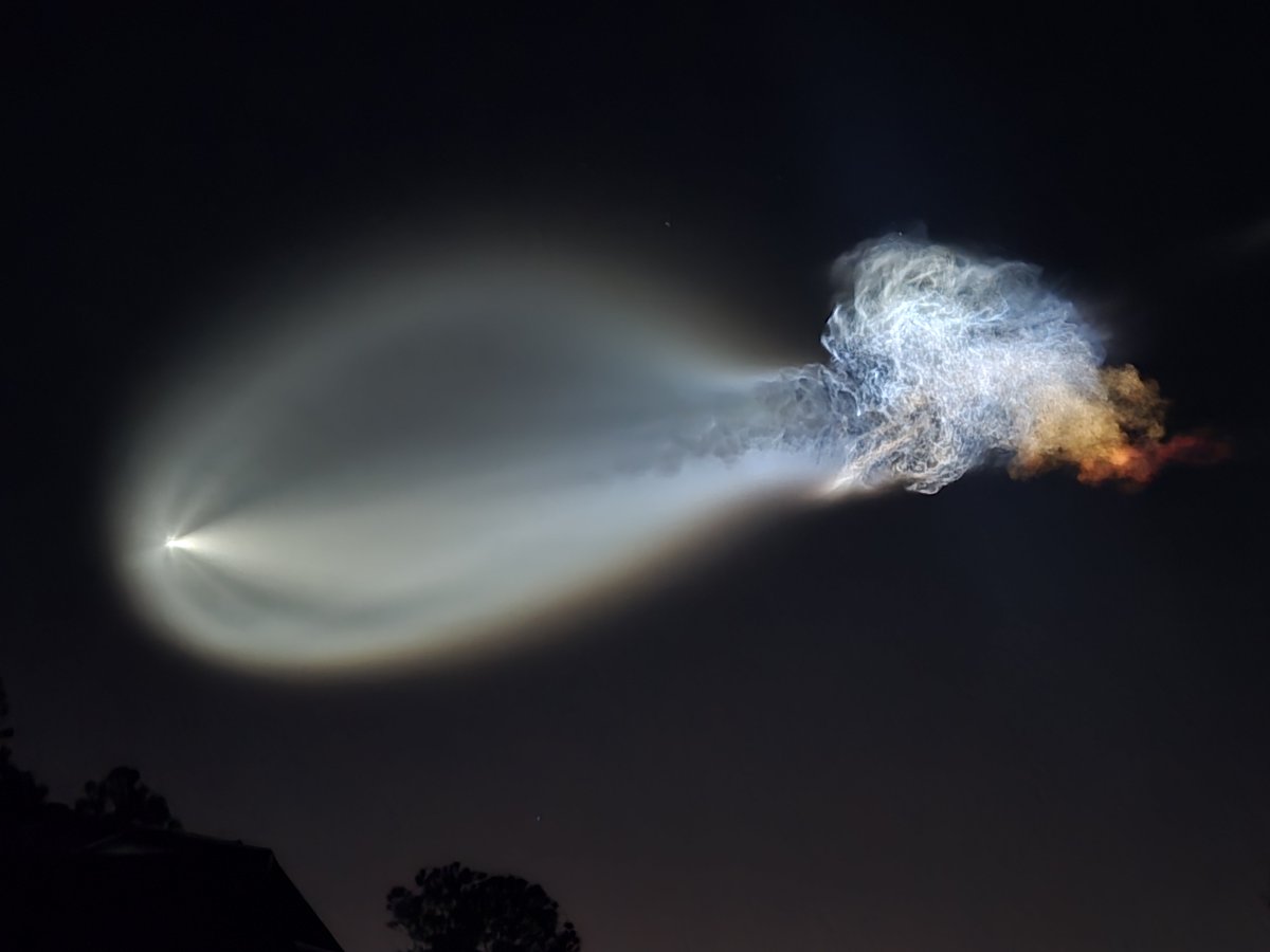 madammoistvt's tweet photo. HOLY FUCK BRO THIS WAS IN MY BACK YARD JUST NOW https://t.co/MfKhGolMwx