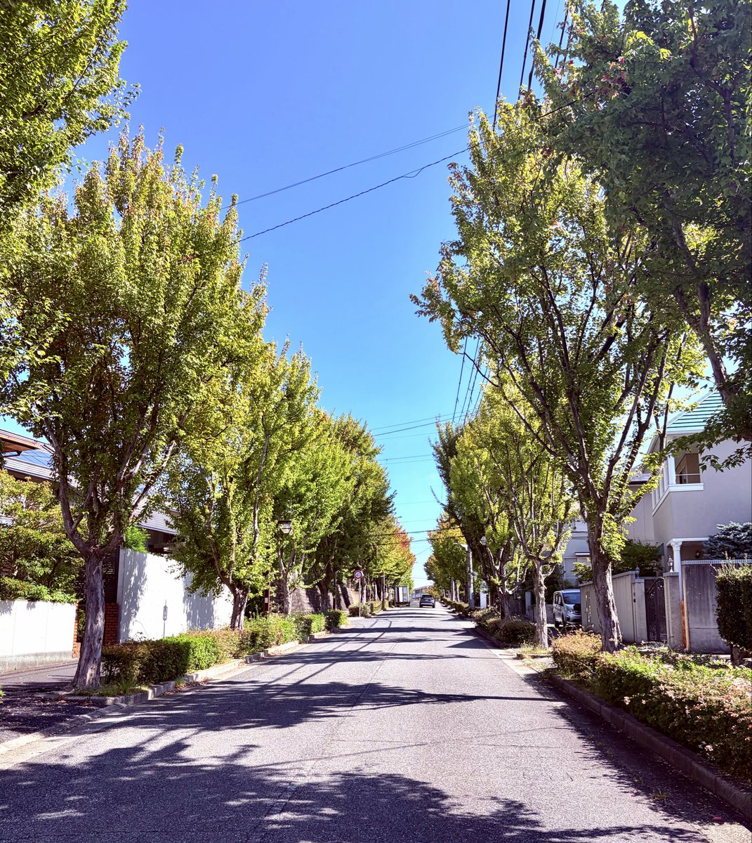 kinyachan's tweet photo. #おっさんの休日
暑いぐらいの日和の中、シャツ1枚で夙川まで街歩き。川沿いを南下するうち、無性に寿司が食べたくなり六甲道の #ぼて へ。禁じていた昼酒もあっさり解禁。歩いて、食べて、ちょい飲みして、読みかけの文庫本読む。行き当たりばったりも、休日の醍醐味。 https://t.co/xeBzTtY2Gx